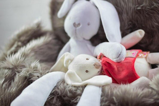 Les 5 occasions idéales pour offrir un doudou brodé personnalisé