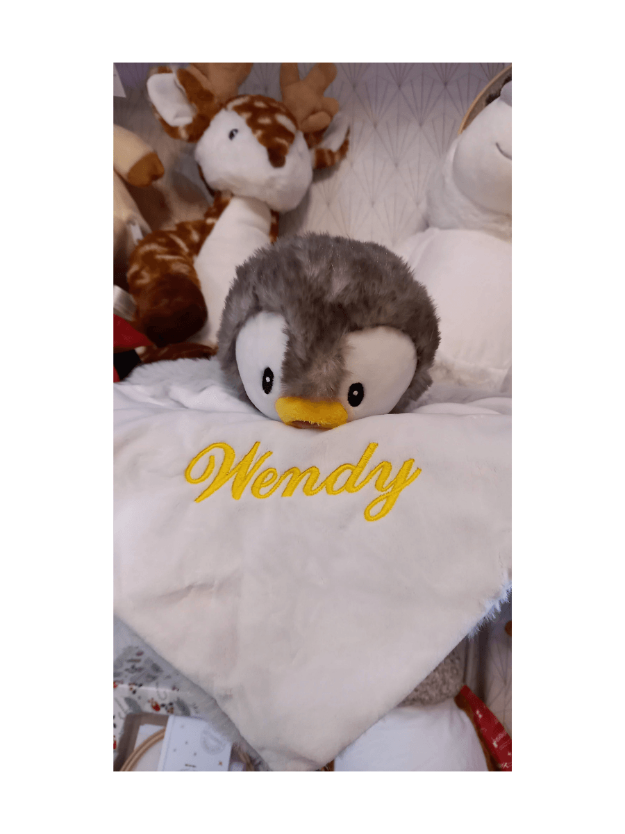 Le bébé pingouin